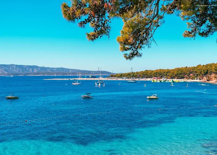 Sunny * Μπολ