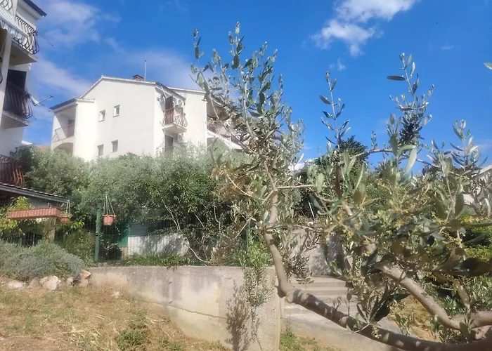 Sunny Μπολ